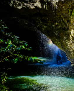 Springbrook Natural Bridge and Purlingbrook Falls Tour