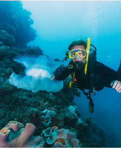 Great Barrier Reef Tour
