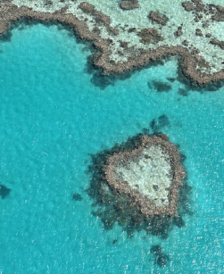 Journey to Heart Reef by Helicopter